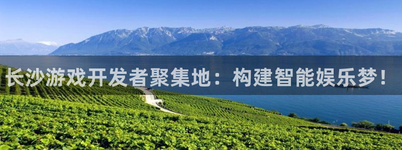 豪门国际云集预测网