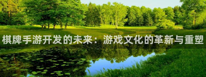 大神pc28开奖查询：棋牌手游开发的未来：游戏文化的革新与重