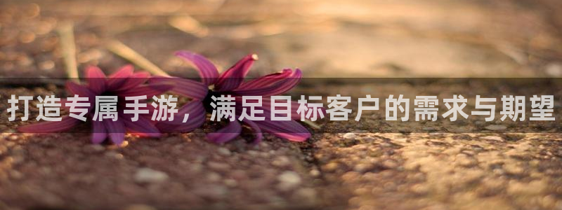 28大神加拿大在线开奖：打造专属手游，满足目标客户的需求与期