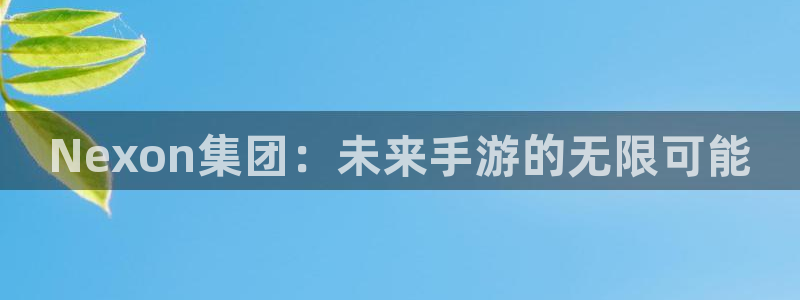 豪门国际加拿大在线上分：Nexon集团：未来手游的无限可能