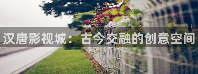 老司机精品电影网：汉唐影视城：古今交融的创意空间