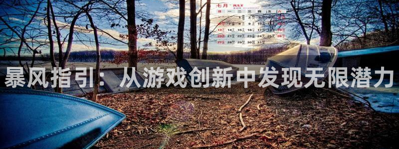 大神吧pc28软件：暴风指引：从游戏创新中发现无限潜力