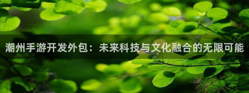 28大神怎么下载地址：潮州手游开发外包：未来科技与文化融合的