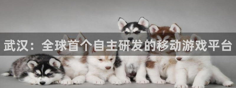 豪门国际开奖历史：武汉：全球首个自主研发的移动游戏平台